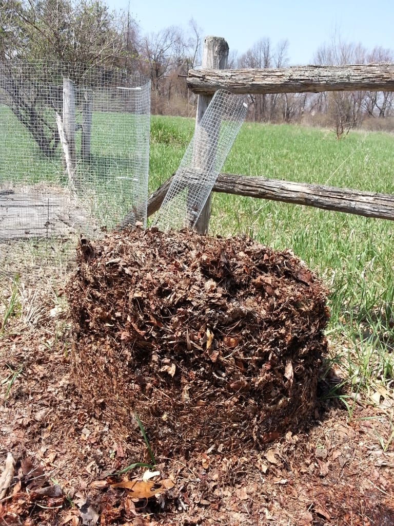 Compost Freed From Enclosure