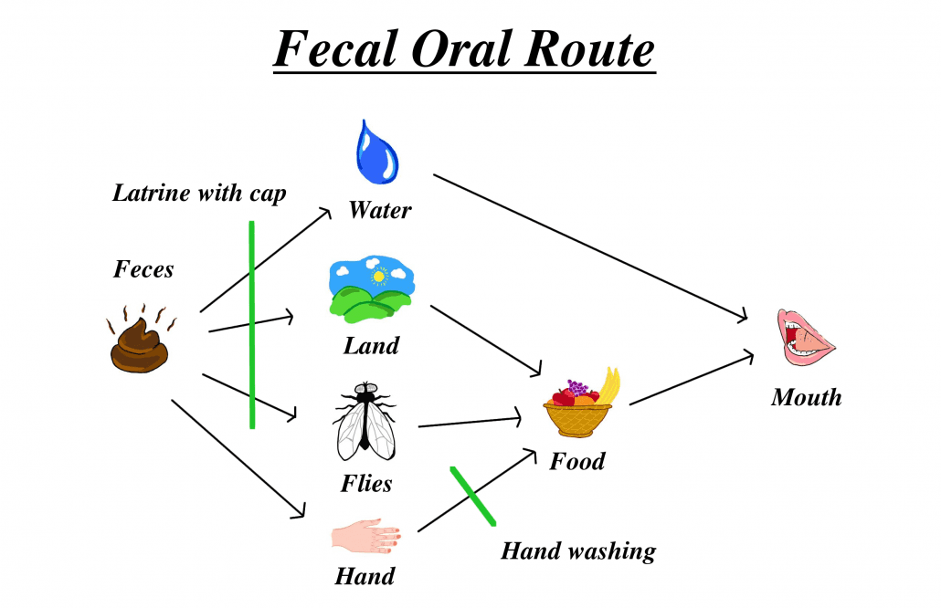Fecal Oral disease